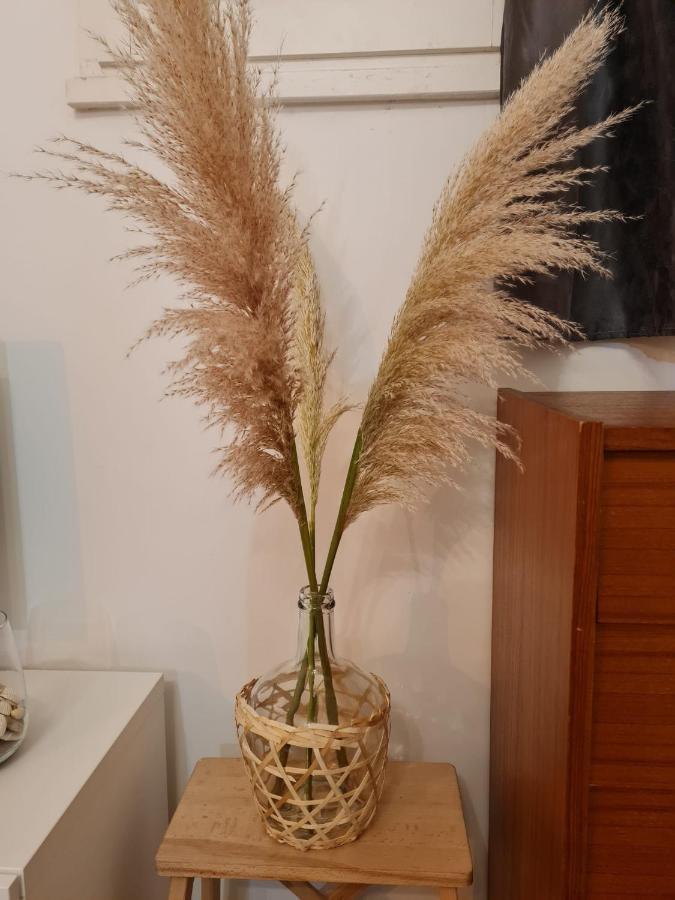 Sete T2 Cosy Et Chaleureux Quartier Gare Apartment ภายนอก รูปภาพ
